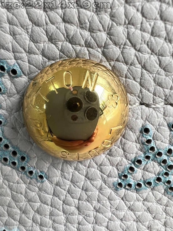 WIS BELLA VUITTON LOUIS 0811